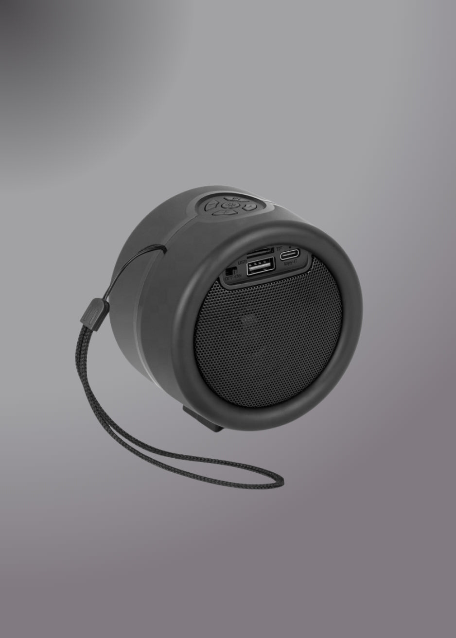 Kisonli S16 Tws Dj Powered Portable Mini Fm Radio Speaker With Soft Cord Handle