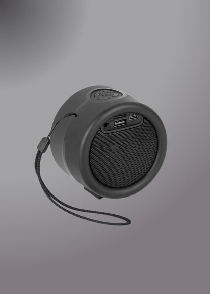 Kisonli S16 Tws Dj Powered Portable Mini Fm Radio Speaker With Soft Cord Handle