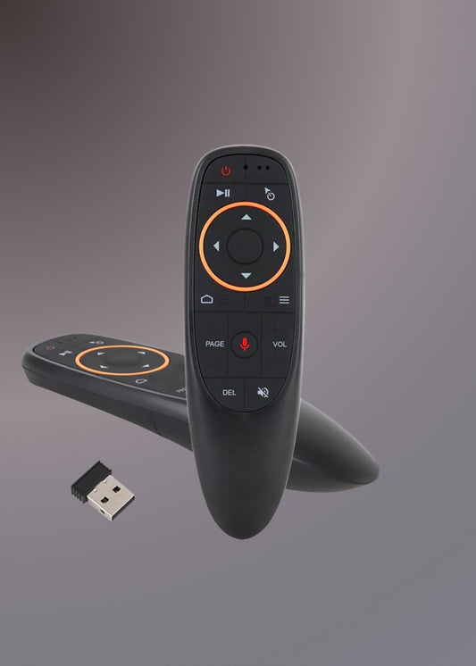 Air Mouse G10S with voice control